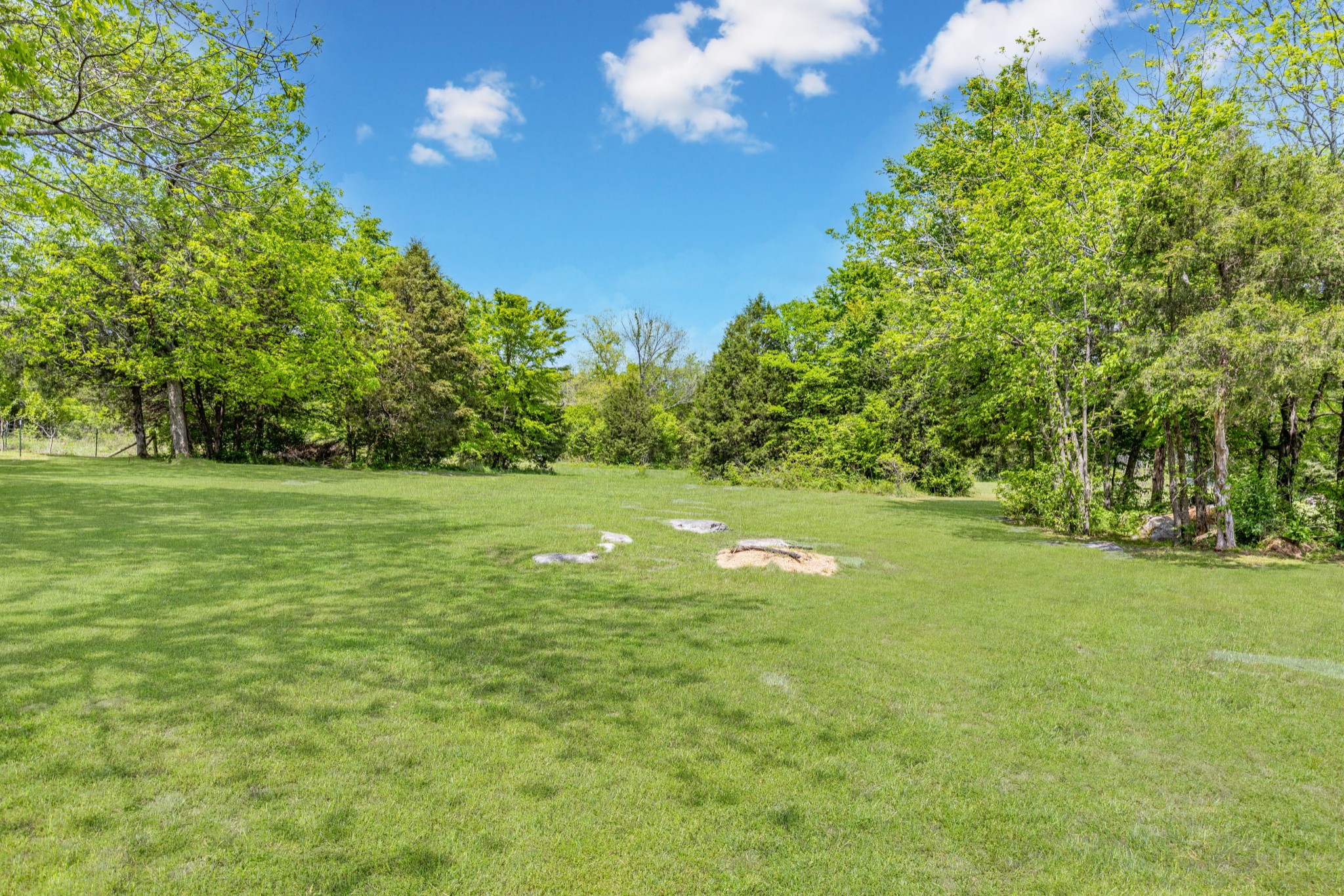 10410 Canoe Branch Road Castalian Springs, TN 37031 - Photo 47 of 59 Gallery Image 47