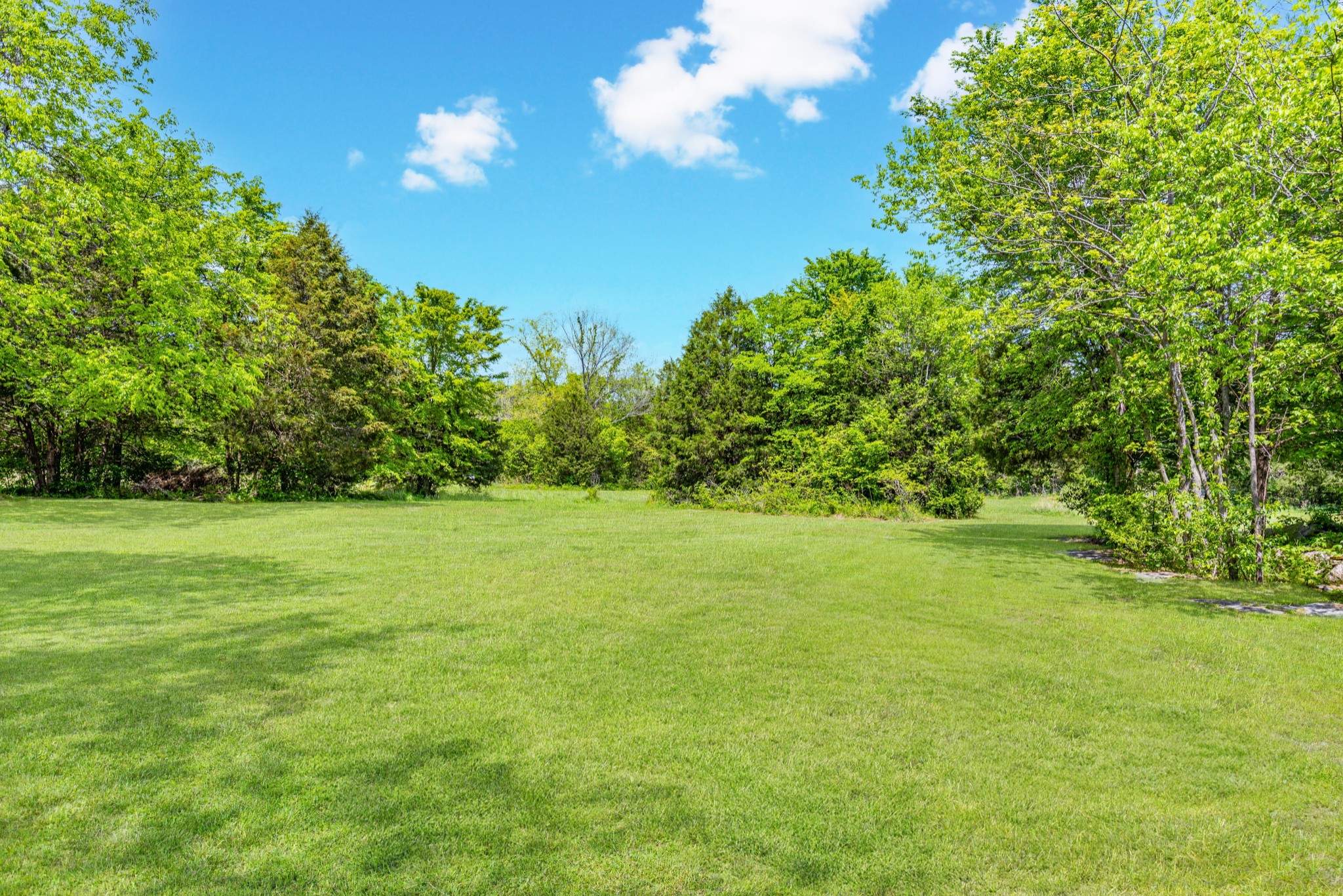 10410 Canoe Branch Road Castalian Springs, TN 37031 - Photo 48 of 59 Gallery Image 48
