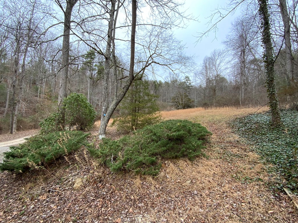 1600 Long Branch Road Marble, NC 28905 - Photo 40 of 49 Gallery Image 40