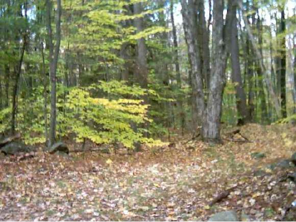 0 Twin Brook Road Chesterfield, NH 03466 - Photo 1 of 1