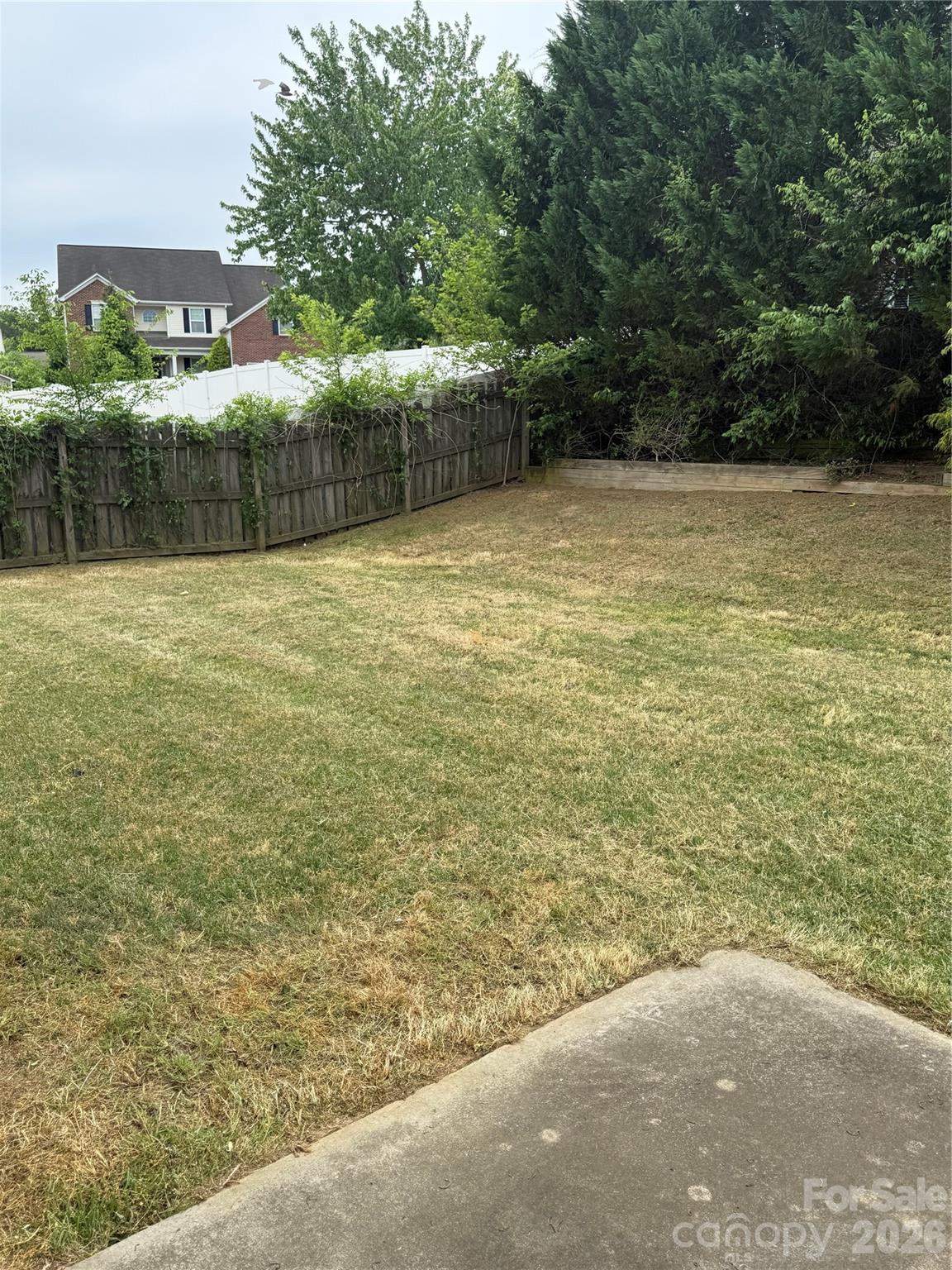 6006 Brook Valley Run Monroe, NC 28110 - Photo 25 of 27 a view of a yard with a plants