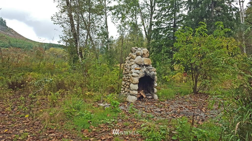 215 Bellicum Road Morton, WA 98356 - Photo 2 of 22 Gallery Image 2