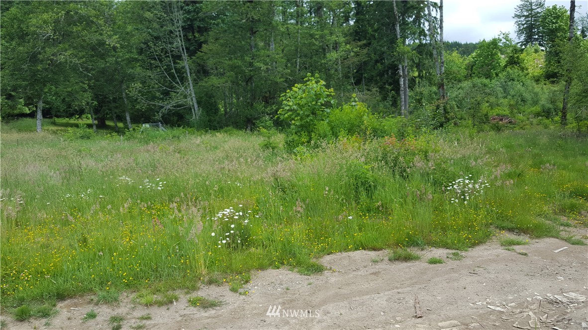 215 Bellicum Road Morton, WA 98356 - Photo 14 of 22 Gallery Image 14