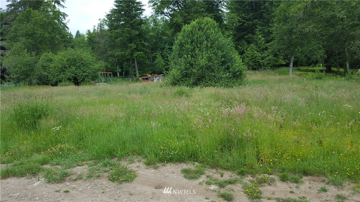 215 Bellicum Road Morton, WA 98356 - Photo 15 of 22 Gallery Image 15