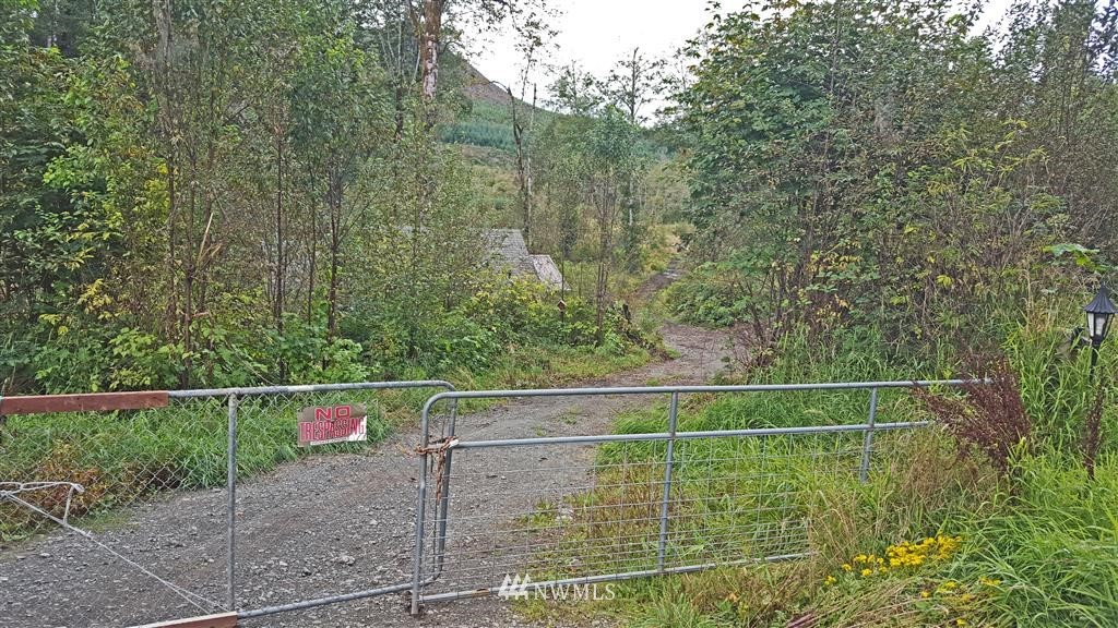 215 Bellicum Road Morton, WA 98356 - Photo 3 of 22 Gallery Image 3