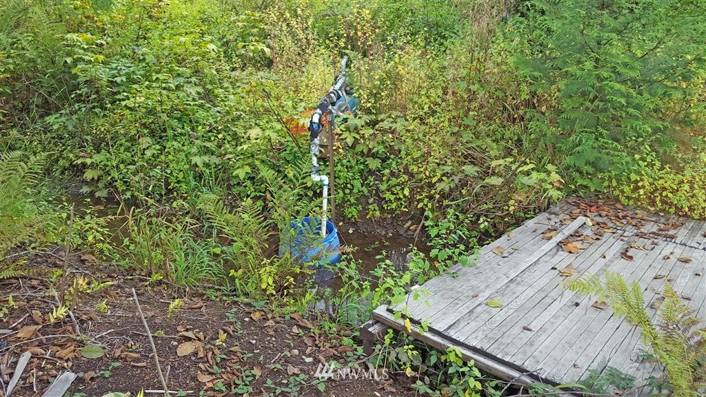 215 Bellicum Road Morton, WA 98356 - Photo 10 of 22 Gallery Image 10
