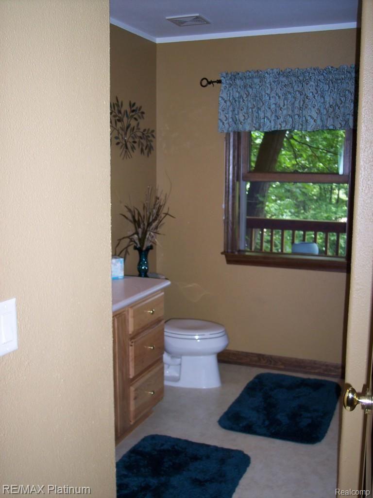 7117 North Fleming Road Fowlerville, MI 48836 - Photo 34 of 97 LAKE VIEWS FROM THRONE