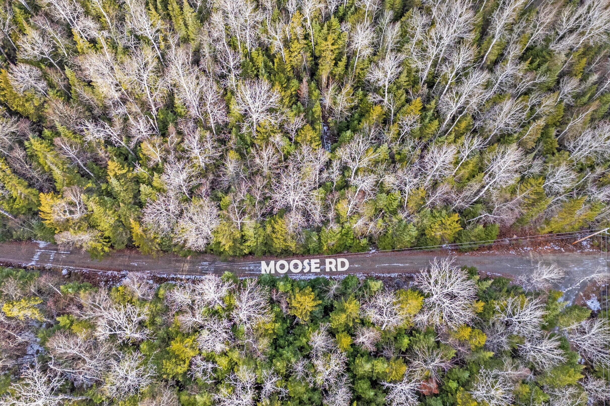 Lot 30 Stephens Road Oquossoc, ME 04964 - Photo 7 of 19 Moose Rd