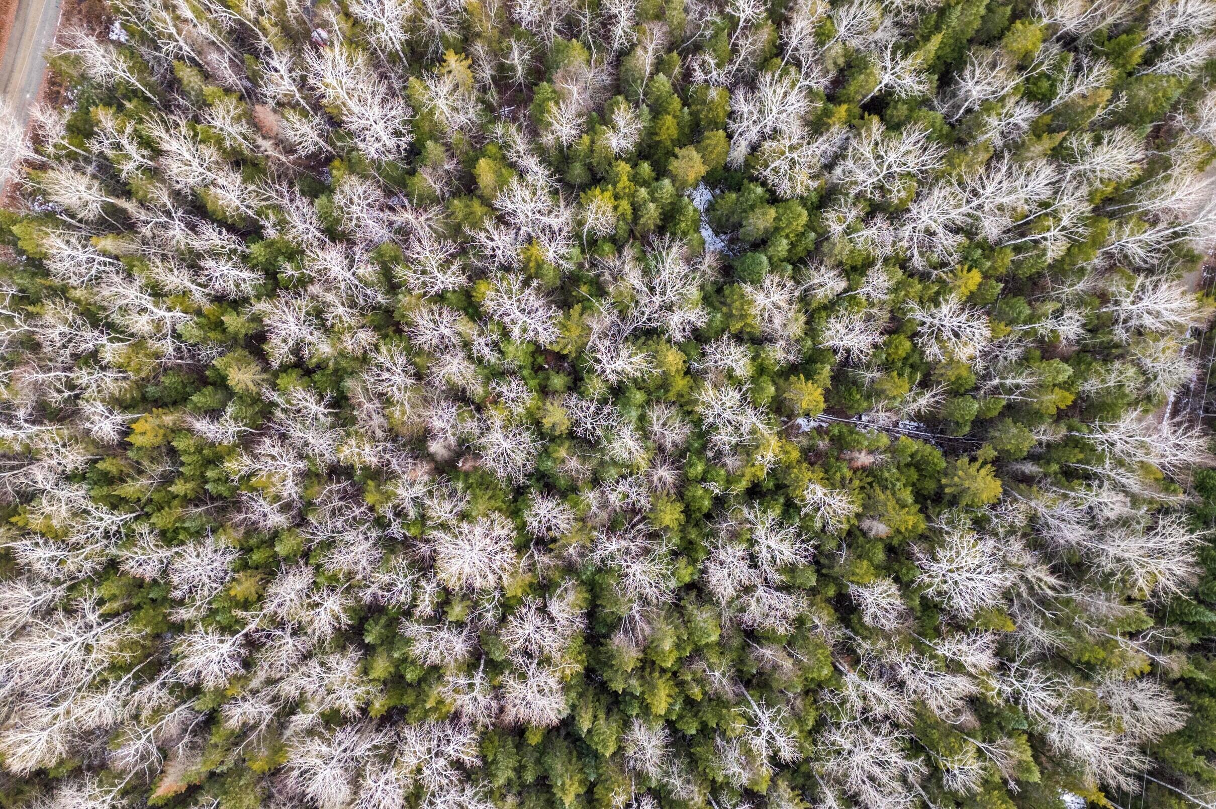 Lot 30 Stephens Road Oquossoc, ME 04964 - Photo 8 of 19 arial view