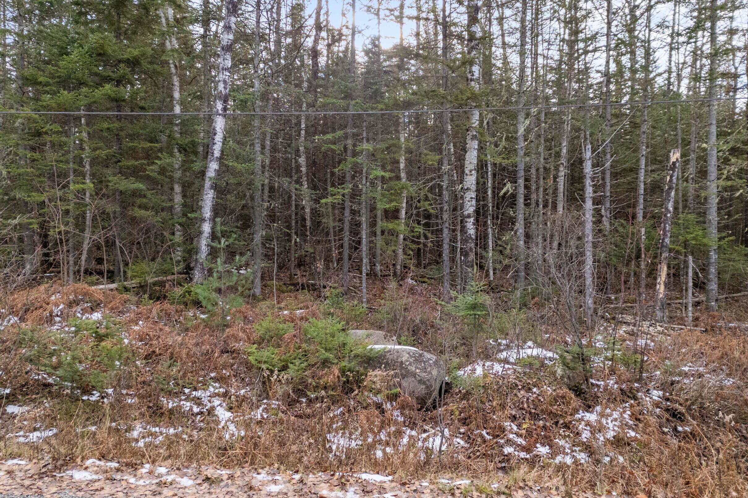 Lot 30 Stephens Road Oquossoc, ME 04964 - Photo 10 of 19 10-Map-12-Lot-30-Rangeley-Plantation-10