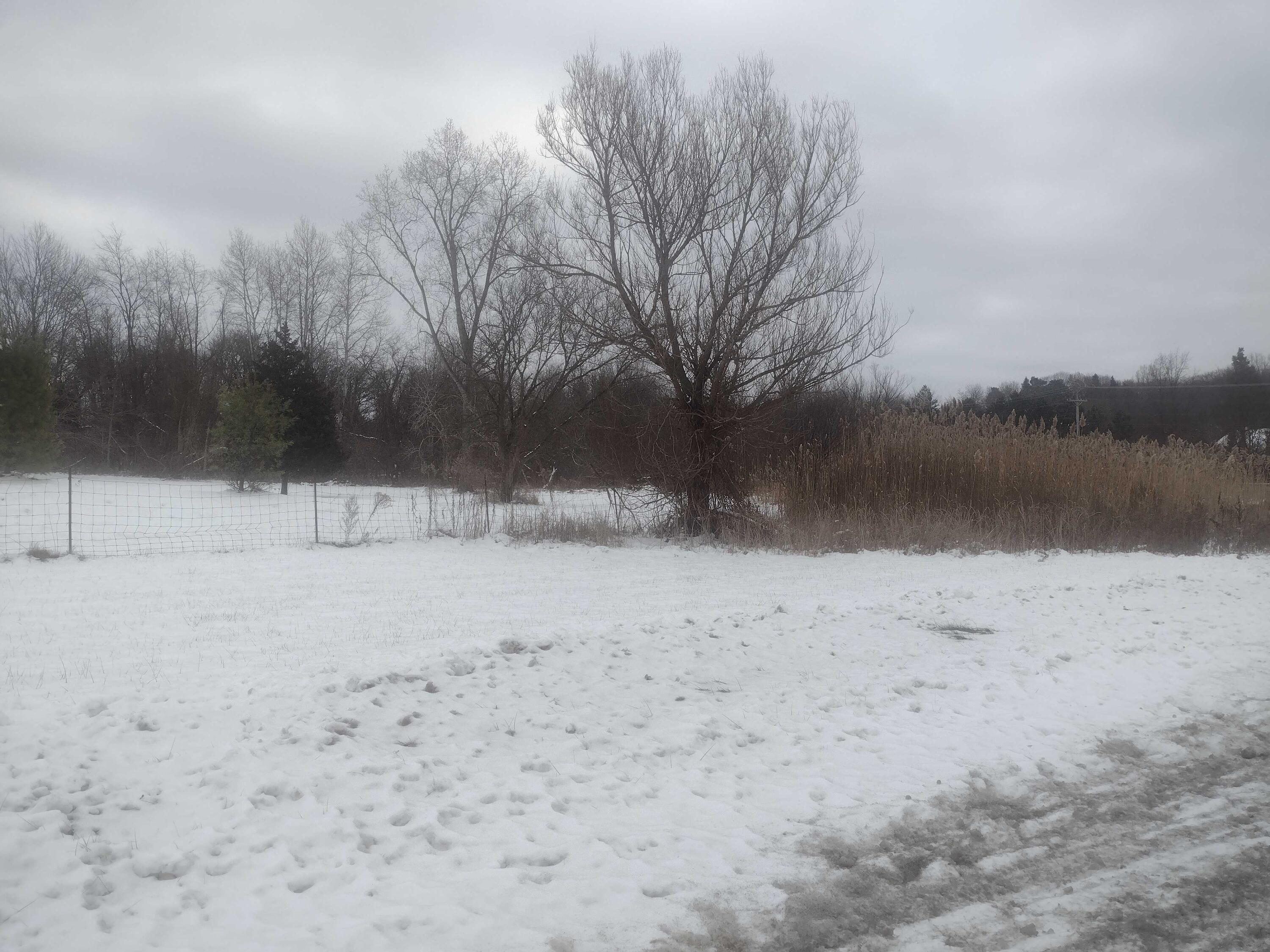 2610 North Wixom Road Commerce Township, MI 48382 - Photo 5 of 6 Vacant Land Commerce MI 1