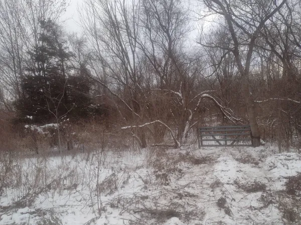 $310,000 | 2610 North Wixom Road, Commerce Township, MI 48382
