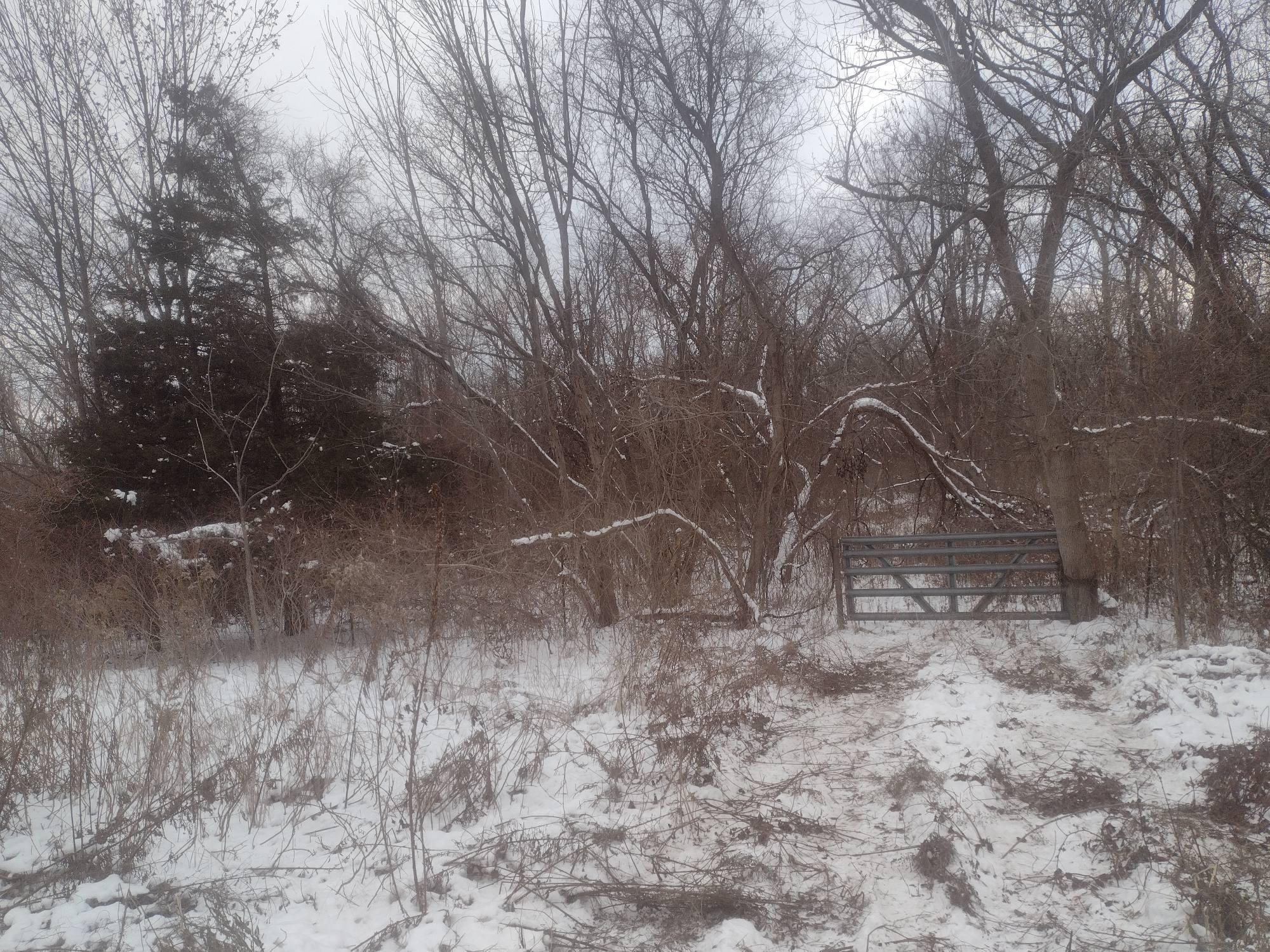 2610 North Wixom Road Commerce Township, MI 48382 - Photo 6 of 6 Vacant Land Commerce MI 2