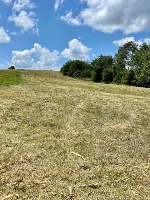 0 Keener Road Seymour, TN 37865 - Photo 6 of 16 Gallery Image 6