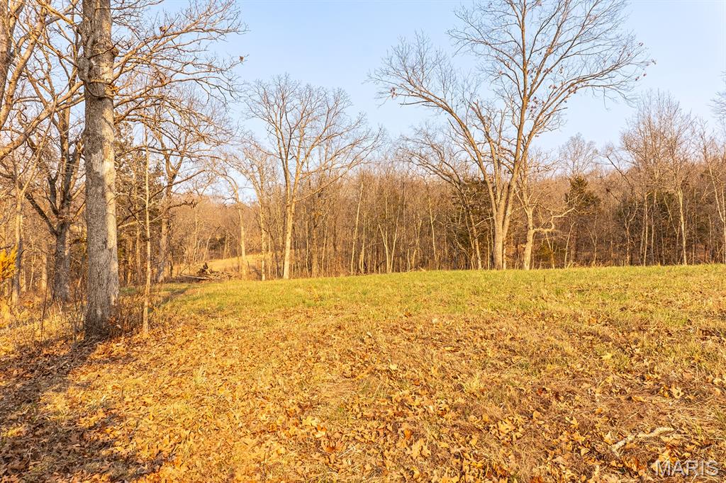 158 Soda Creek Road Sullivan, MO 63080 - Photo 11 of 16