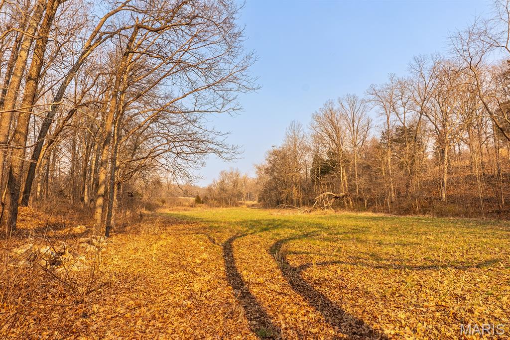 158 Soda Creek Road Sullivan, MO 63080 - Photo 14 of 16