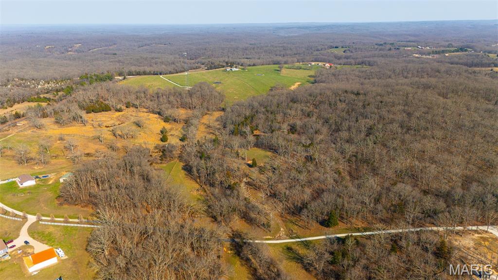 158 Soda Creek Road Sullivan, MO 63080 - Photo 4 of 16