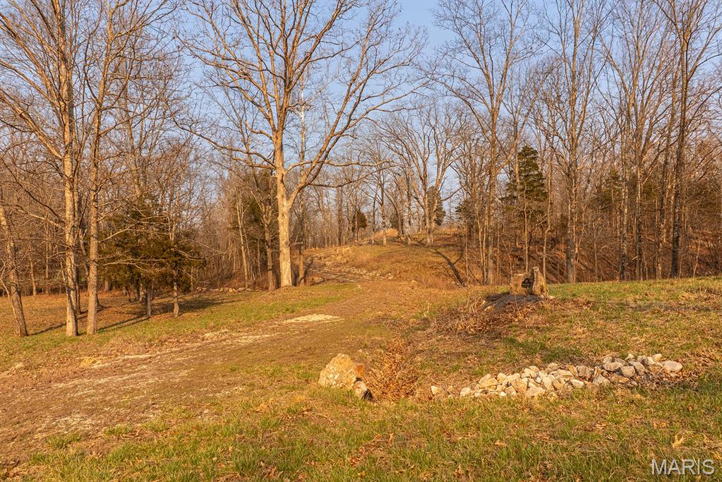 158 Soda Creek Road Sullivan, MO 63080 - Photo 6 of 16