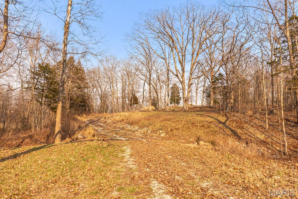 158 Soda Creek Road Sullivan, MO 63080 - Photo 8 of 16