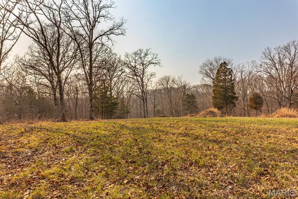 158 Soda Creek Road Sullivan, MO 63080 - Photo 10 of 16