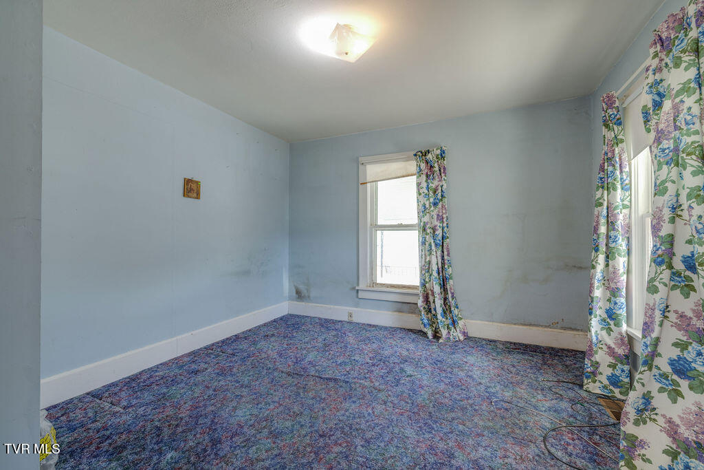 270 Roberts Lane Erwin, TN 37650 - Photo 8 of 47 008