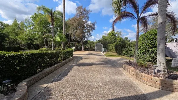 a view of a park with plants and trees