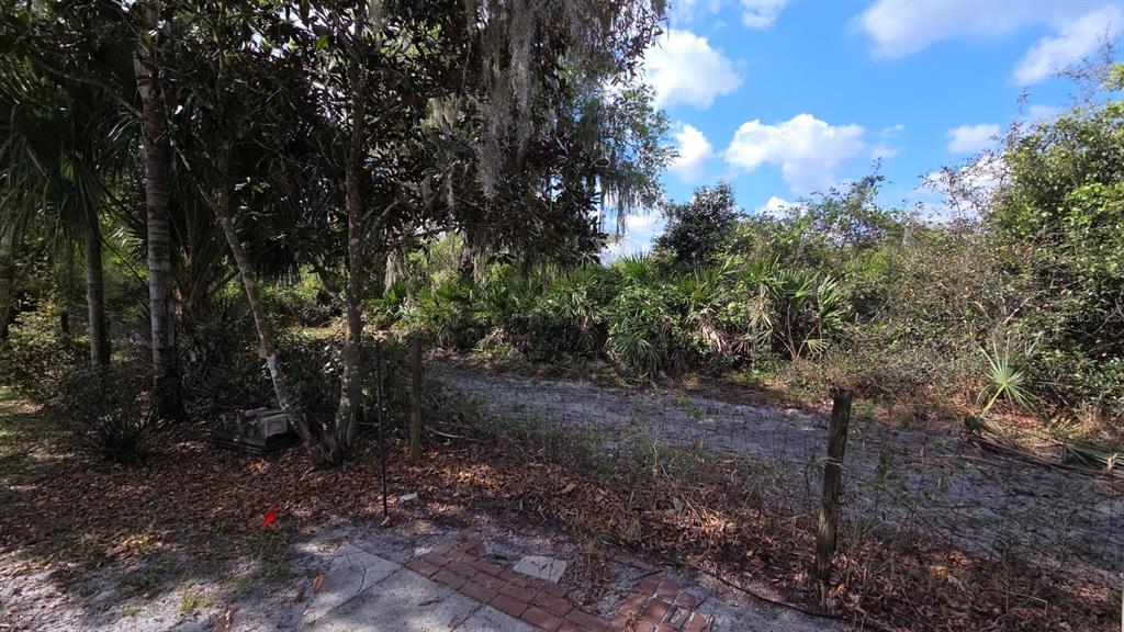 406 Longhorn Drive River Ranch, FL 33867 - Photo 10 of 14