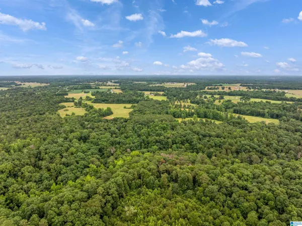 $299,900 | 0 County Road 605, Section, AL 35771