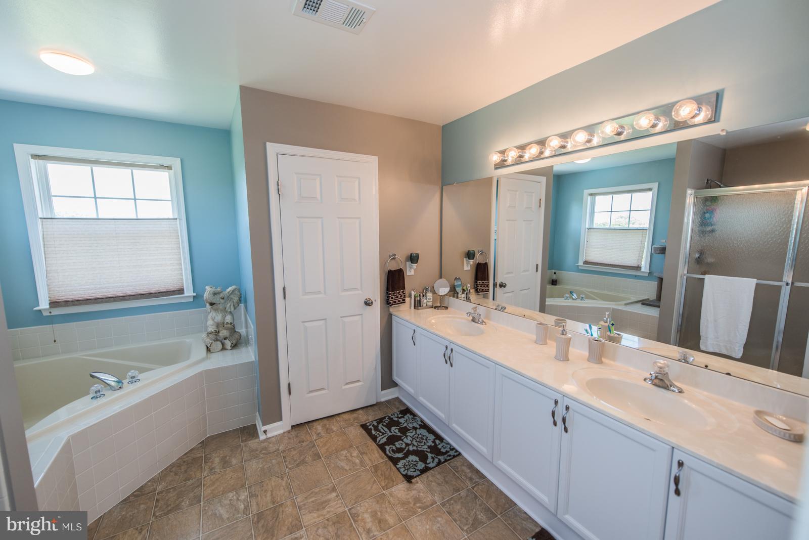 359 Rudder Road Shepherdstown, WV 25443 - Photo 22 of 29 Bath (Master)