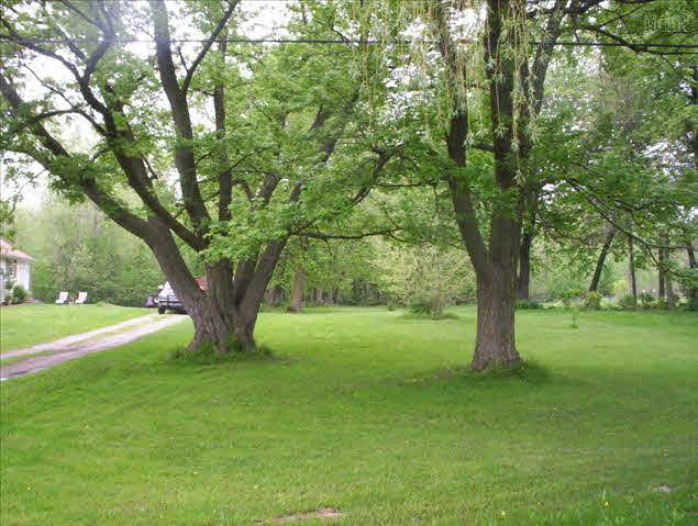 3600 Ohara Road Carleton, MI 48117 - Photo 19 of 20 Gorgeous Trees