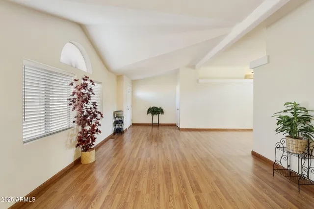 a view of a room with wooden floor and a potted plant