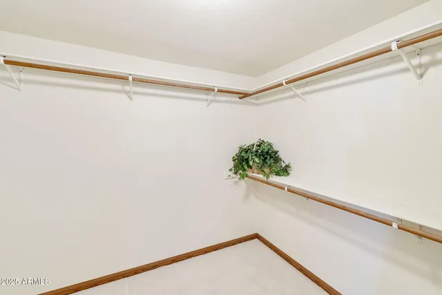 a view of a room with a potted plant on the wall