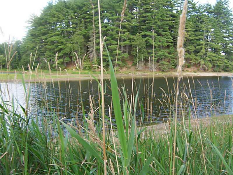 Lot 4-2 South Road Ellsworth, ME 04605 - Photo 7 of 8 Union River.