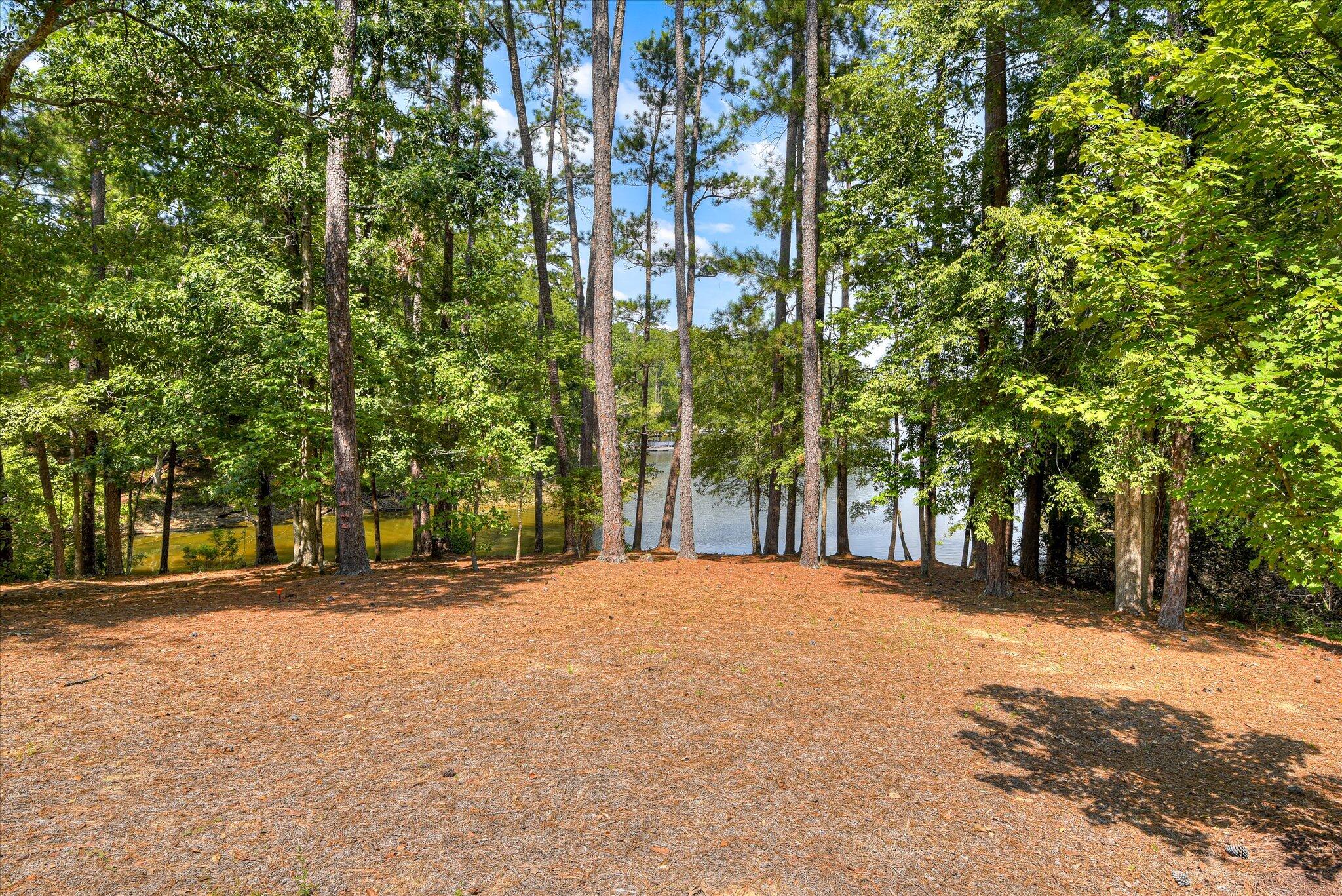 207 Hummingbird Lane McCormick, SC 29835 - Photo 58 of 74 61-161