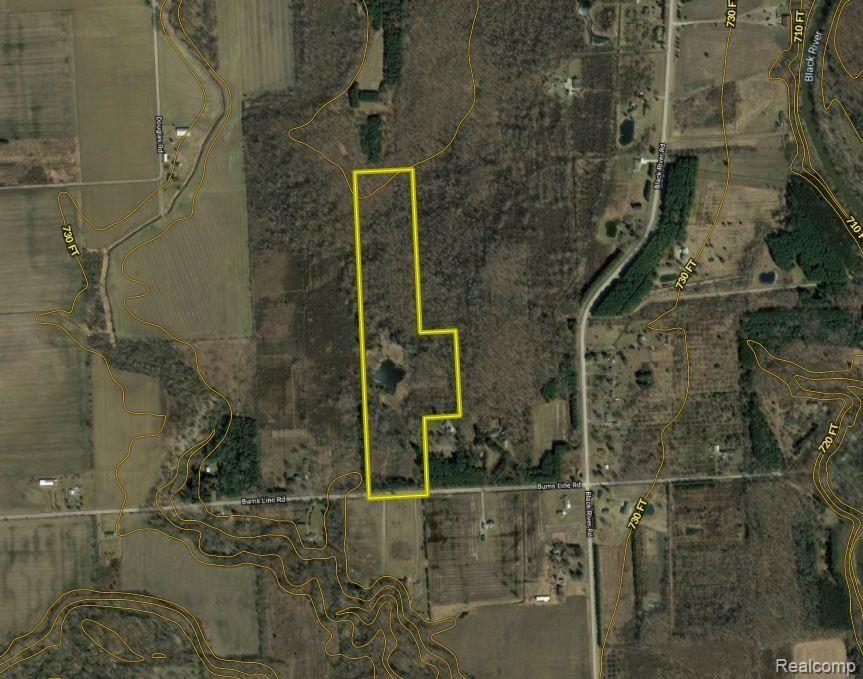 V/l Burns Line Road Croswell, MI 48422 - Photo 2 of 31