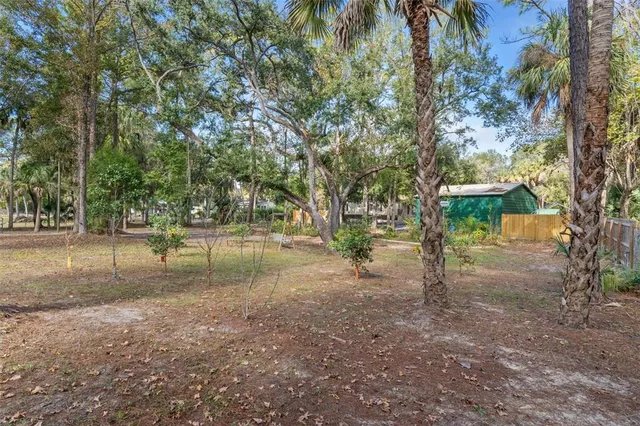 a view of a yard with a tree