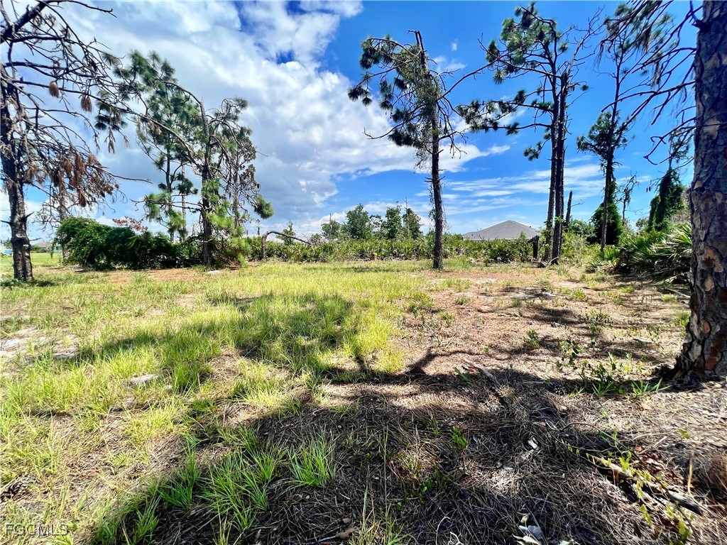 228 Fairway Road Rotonda West, FL 33947 - Photo 3 of 8 a view of a yard with plants and trees