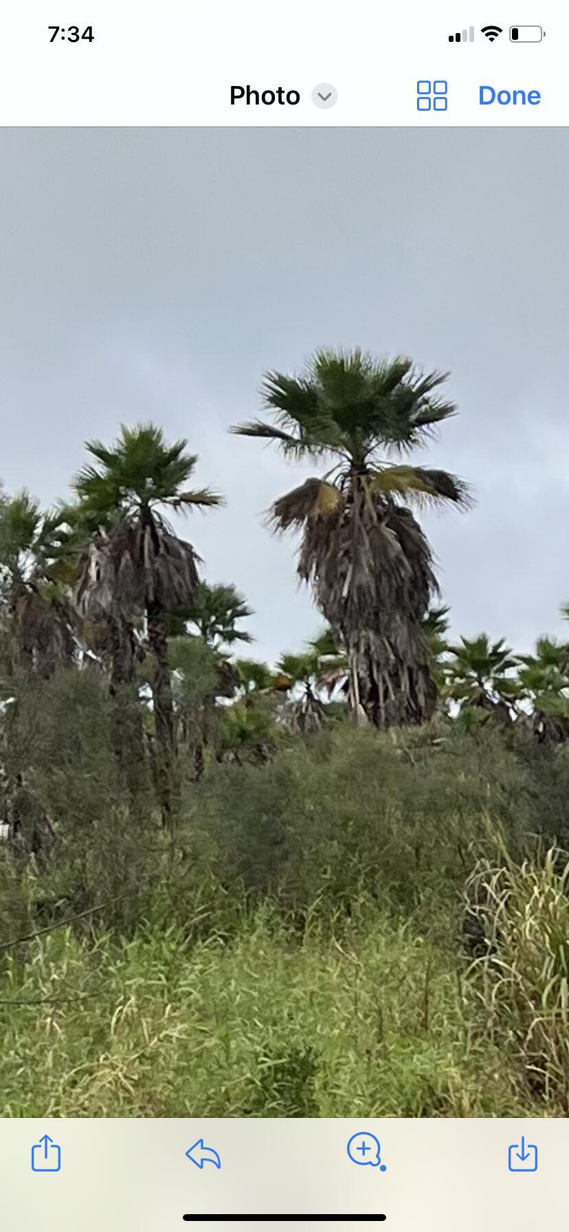 1425 South Header Canal Road Fort Pierce, FL 34945 - Photo 2 of 9 beyc67af4dfb7cc1e