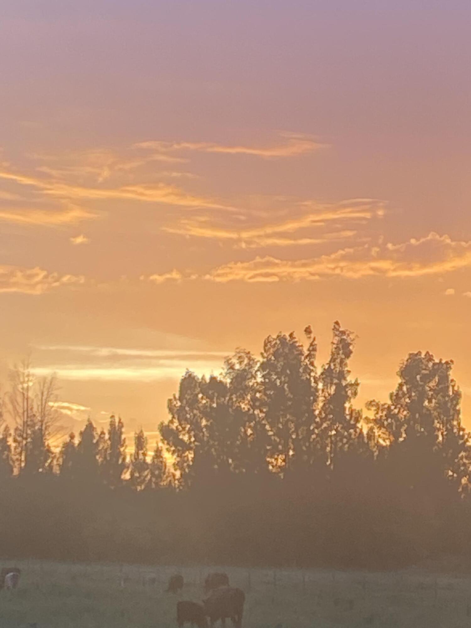 1425 South Header Canal Road Fort Pierce, FL 34945 - Photo 5 of 9 beyc67af4e1358c4a