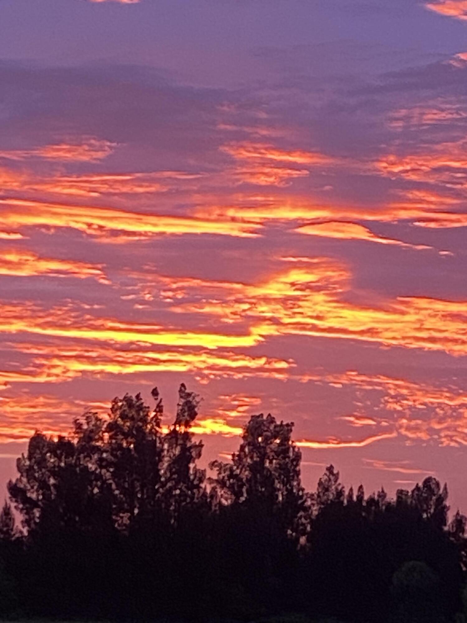 1425 South Header Canal Road Fort Pierce, FL 34945 - Photo 6 of 9 beyc67af4e1db6d6f