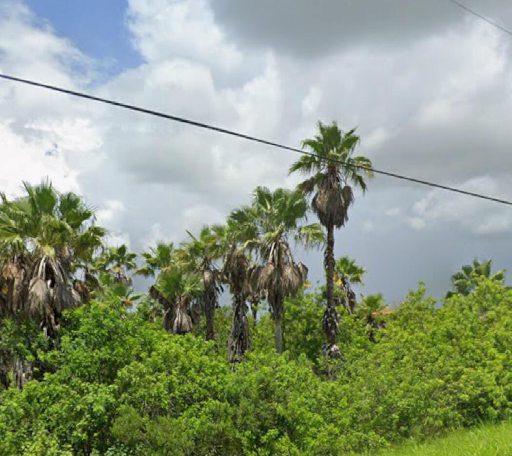 1425 South Header Canal Road Fort Pierce, FL 34945 - Photo 8 of 9 beyc67af4ff19a301