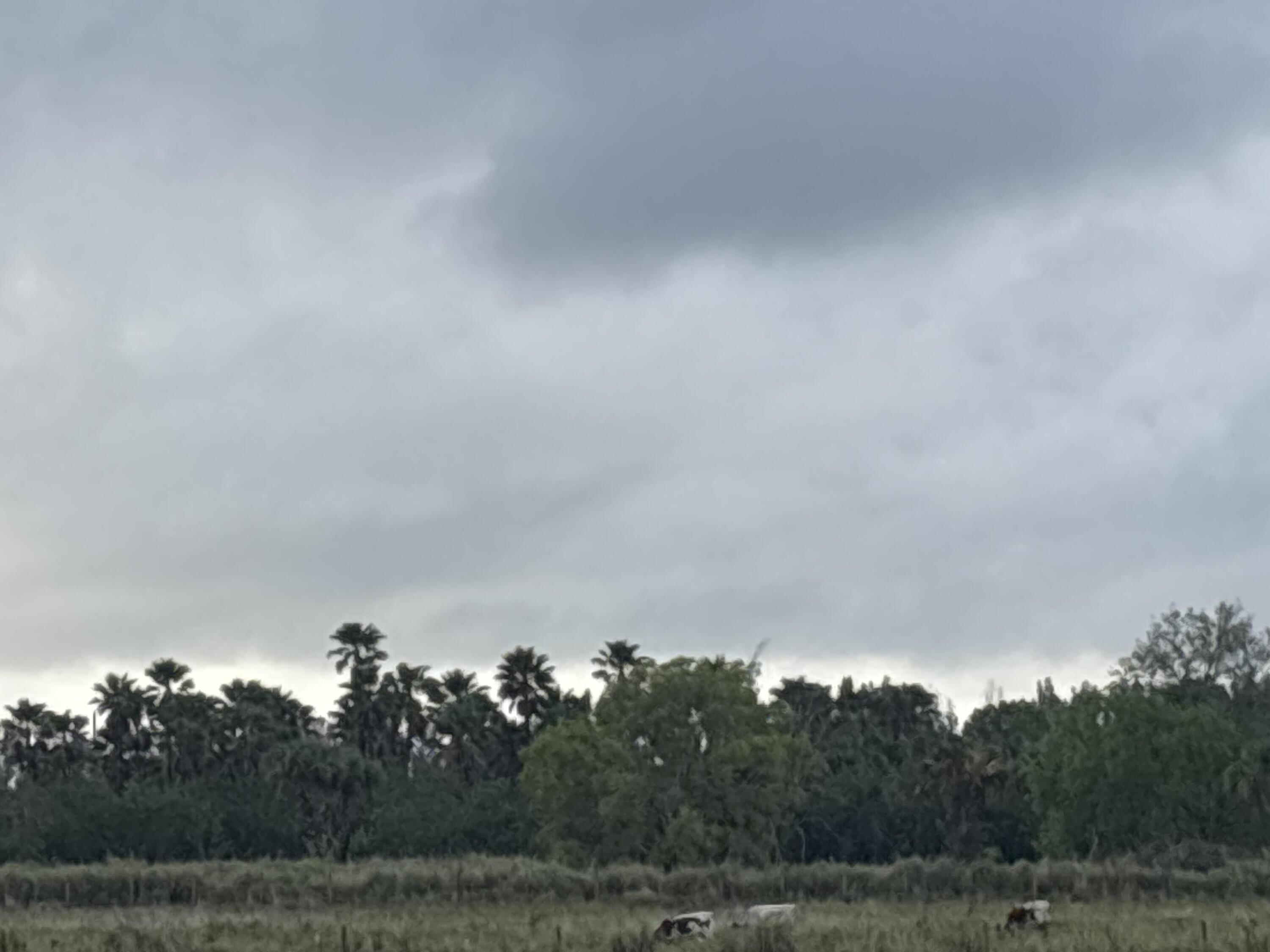 1425 South Header Canal Road Fort Pierce, FL 34945 - Photo 9 of 9 beyc67af50239a8fb