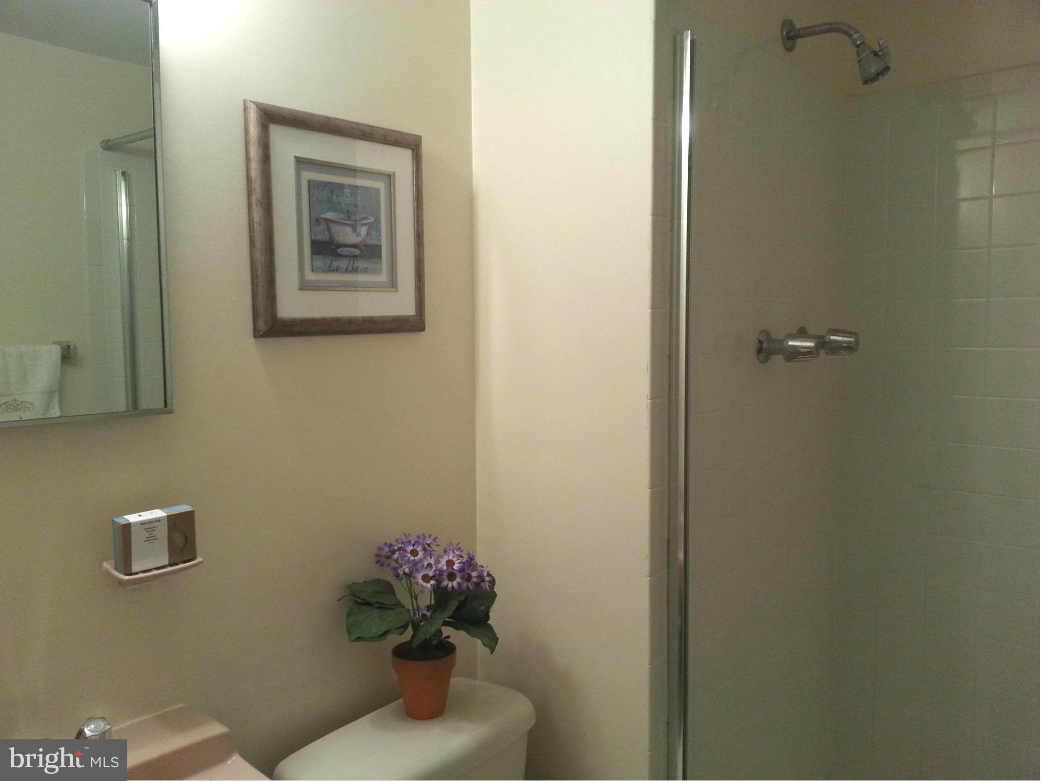 8164 Inverness Ridge Road Potomac, MD 20854 - Photo 24 of 30 Bath