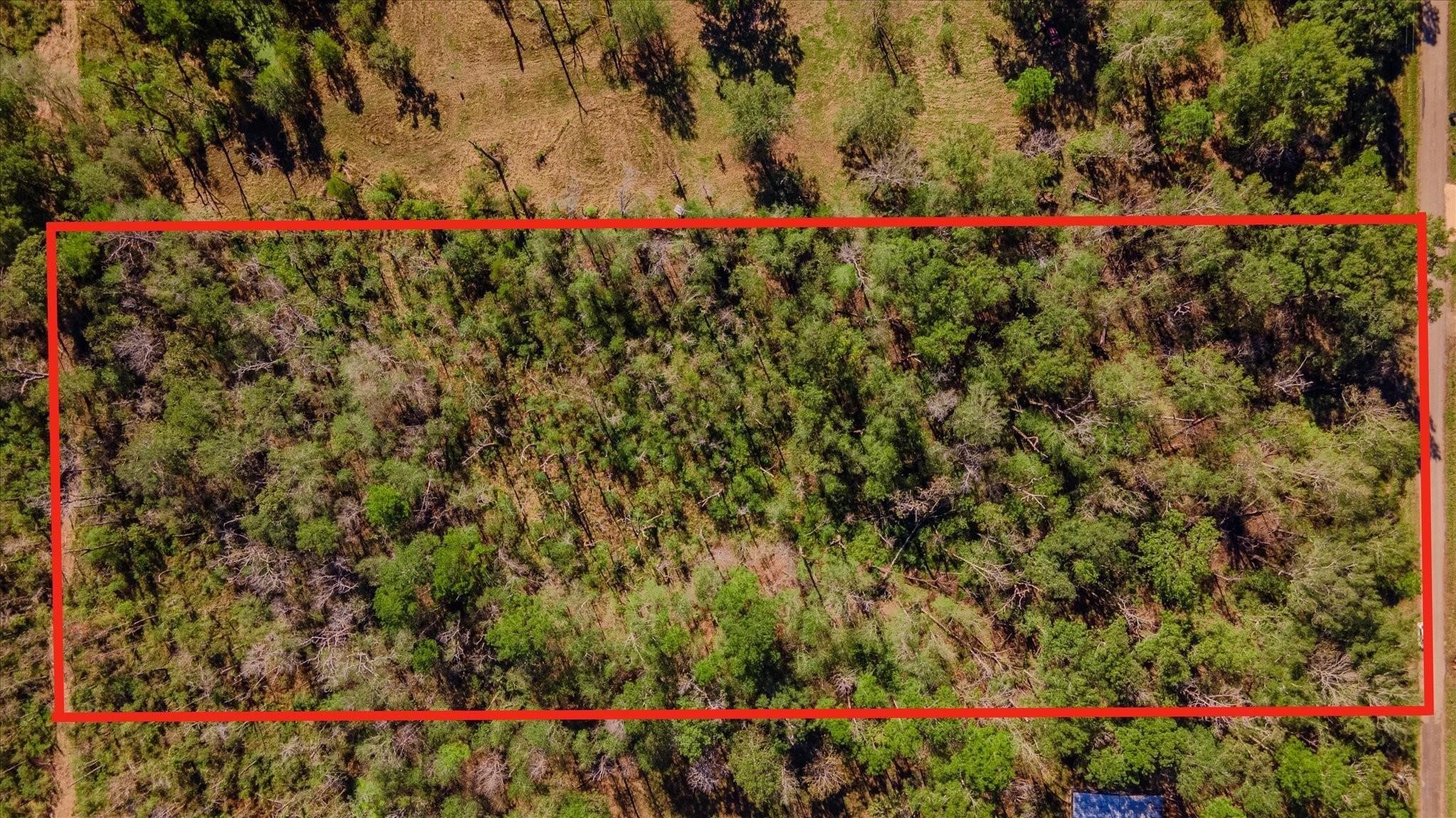 1234 County Road 2145 Cleveland, TX 77327 - Photo 12 of 15 a view of a pathway