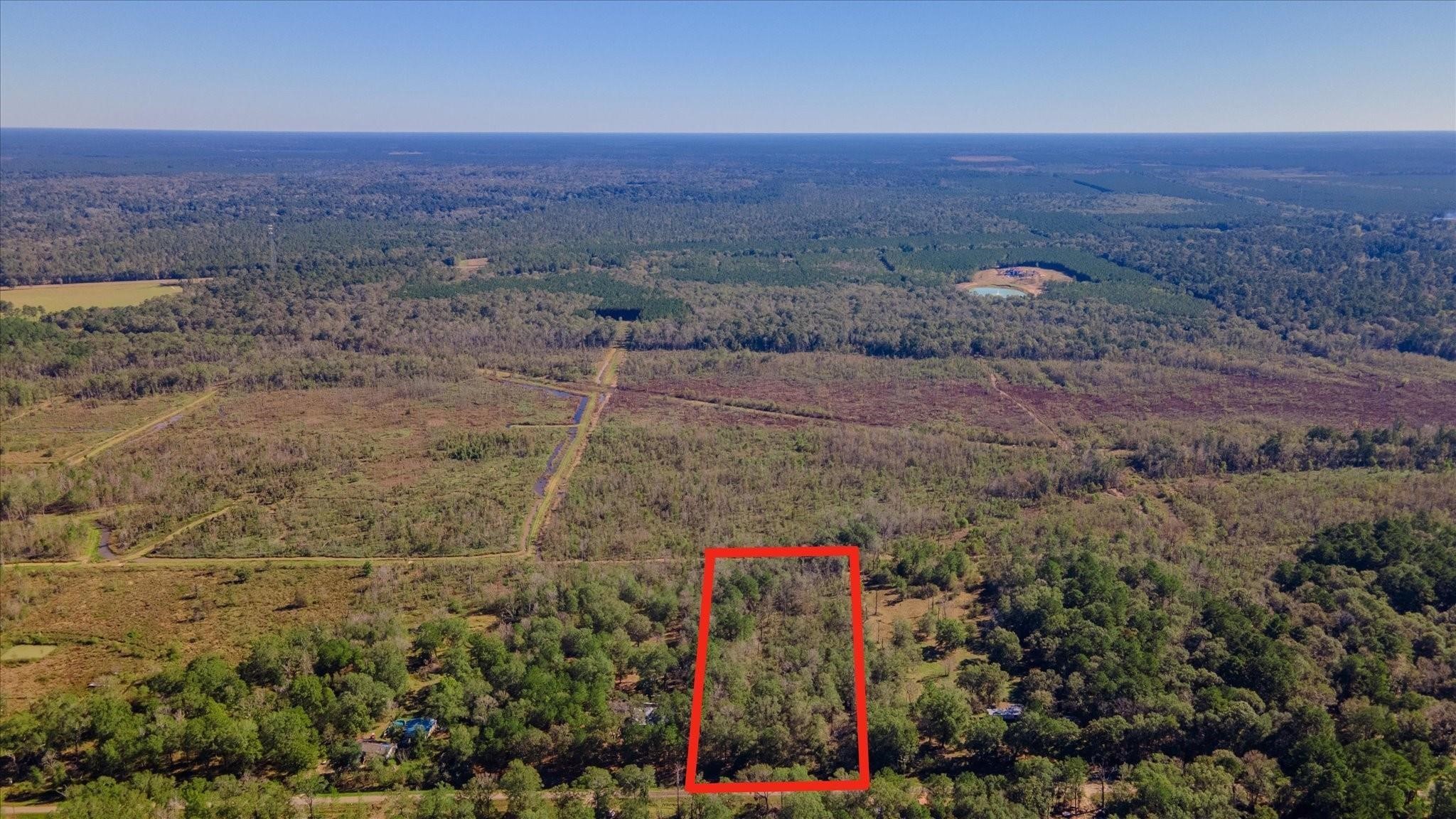 1234 County Road 2145 Cleveland, TX 77327 - Photo 14 of 15 a view of outdoor space and tree