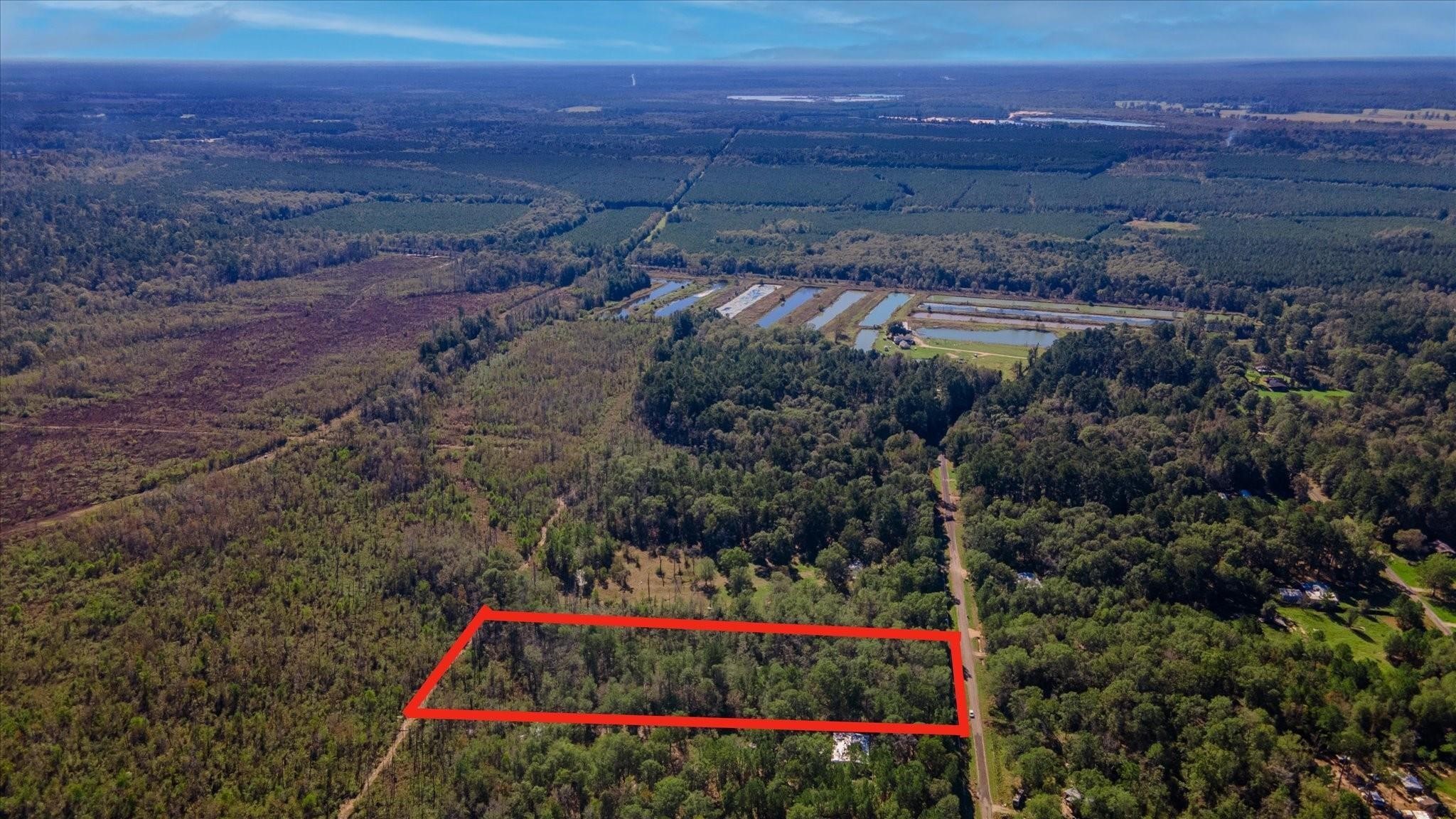1234 County Road 2145 Cleveland, TX 77327 - Photo 5 of 15 a view of lot of trees and a street
