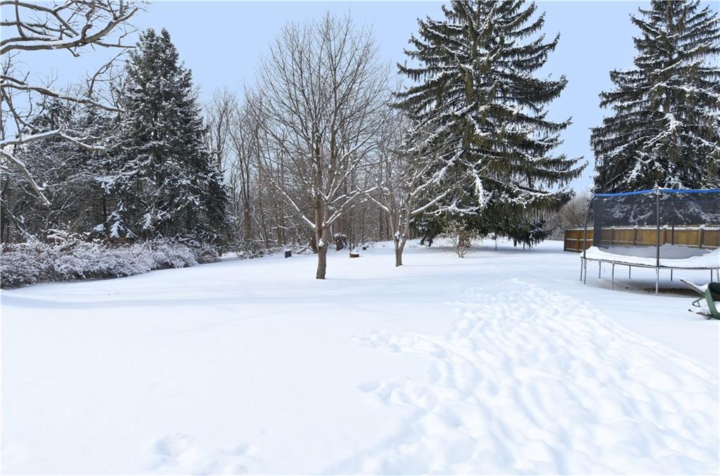 560 Tevebaugh Hollow Road Freedom, PA 15042 - Photo 23 of 23 The large back yard.