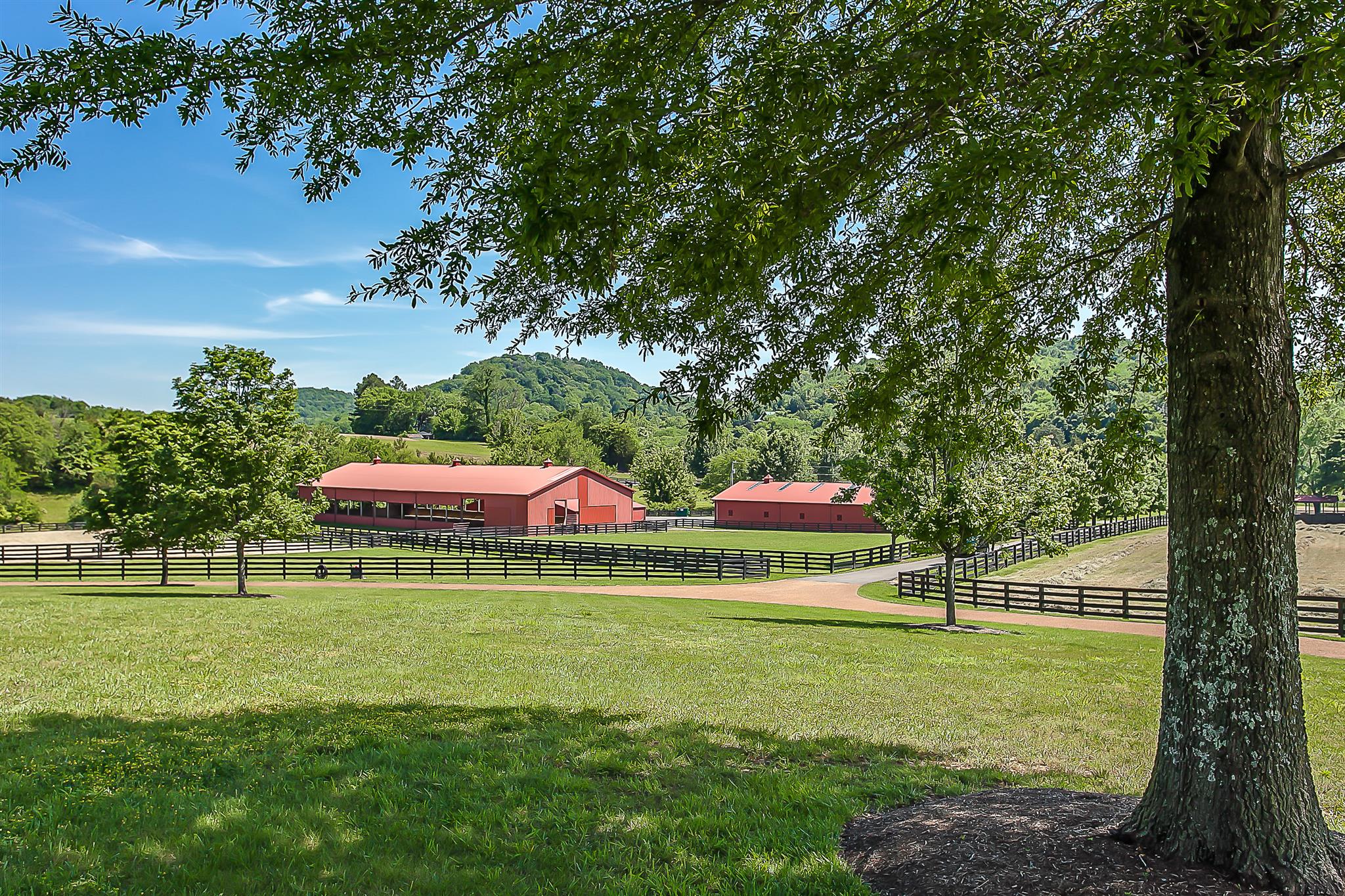 6664 Cross Keys Road College Grove, TN 37046 - Photo 27 of 29 Barn with office, 14-stalls, riding arena, and separate barn with storage (heated/cooled)