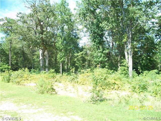 0 State Rt 629 Walkerton Road King William, VA 23086 - Photo 3 of 3 Gallery Image 3
