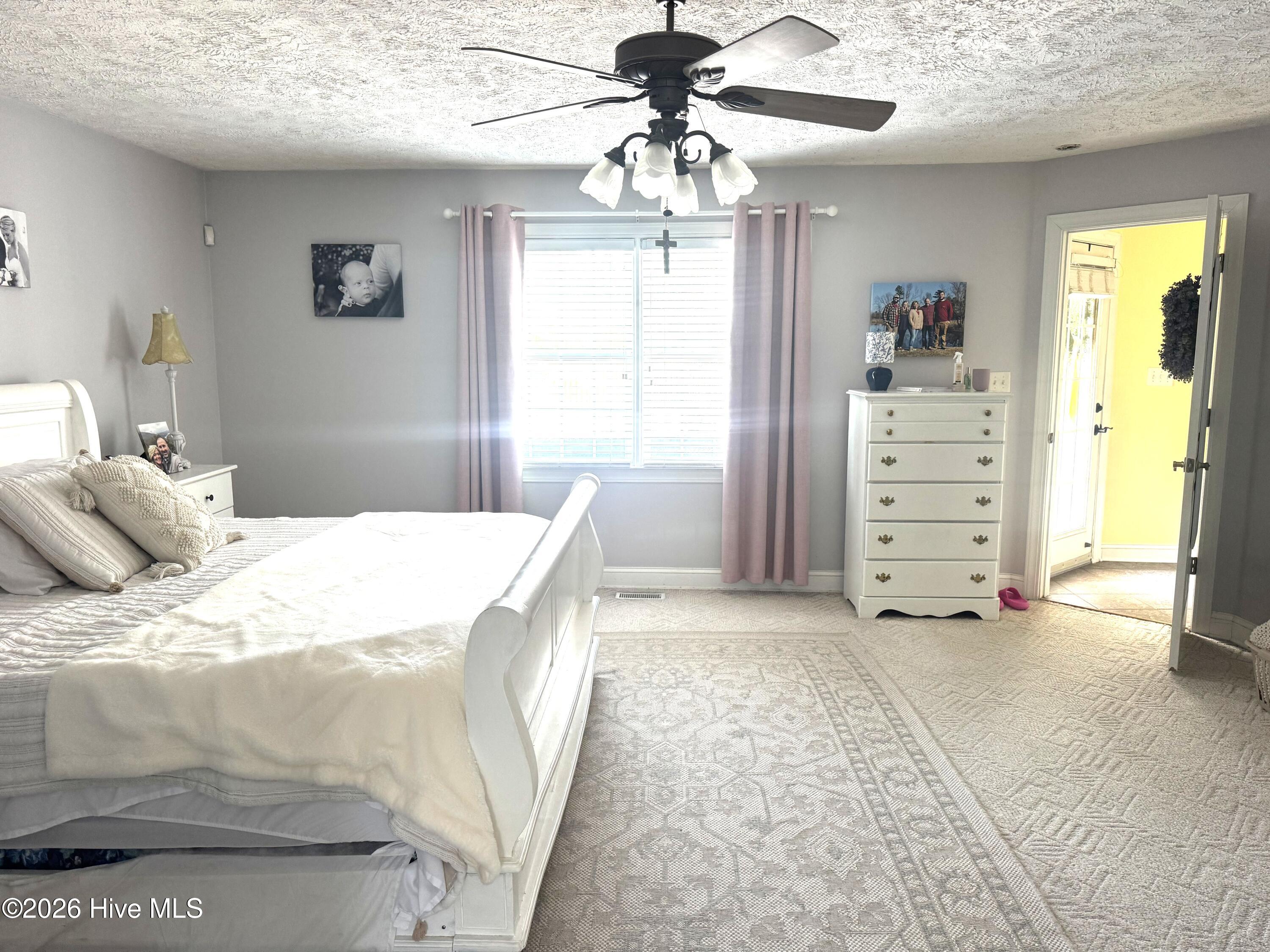 727 Mt Olive Road Bladenboro, NC 28320 - Photo 14 of 52